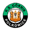 Górnik Polkowice